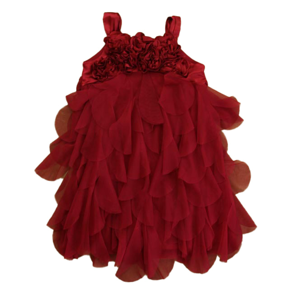 Biscotti Girls Maroon Dress size: 4T
